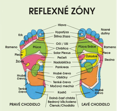 reflexne_zony.jpg